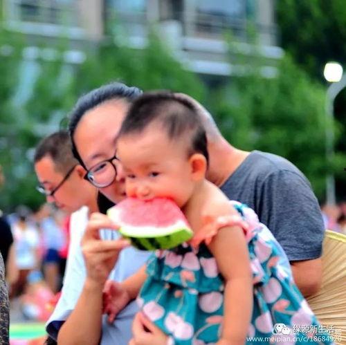 吃瓜大全合集