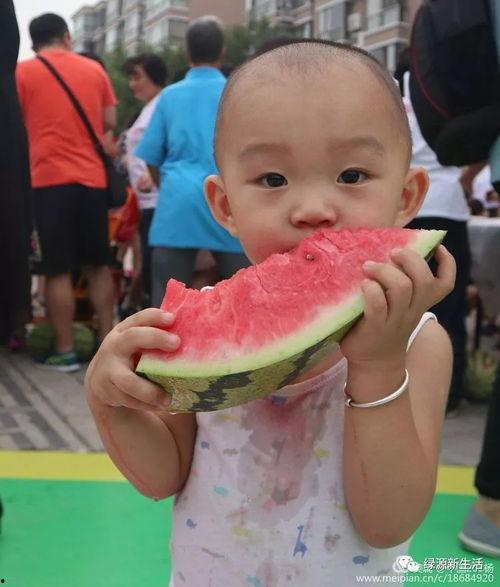 吃瓜大全合集