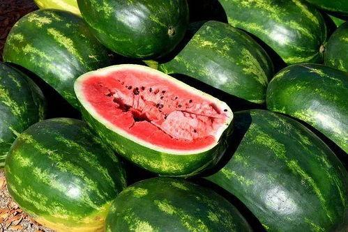 吃瓜大全合集