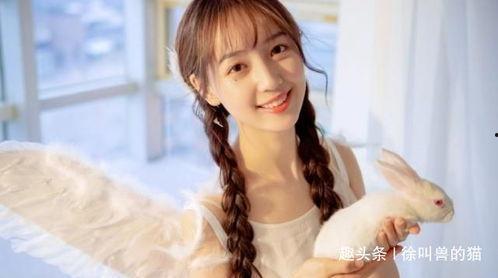 娱乐吃瓜酱网文女主是谁,揭秘网文女主的神秘身份