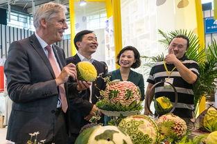 千佛山娱乐团队吃瓜群众,吃瓜群众揭秘幕后故事