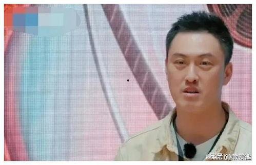 娱乐圈近期吃瓜文件,明星秘闻大揭秘！